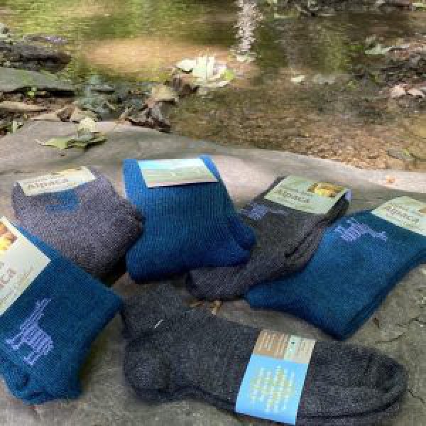 frog-creek-socks-300x3005